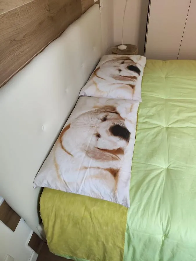 Rosa House Bed and Breakfast Bologna Italien